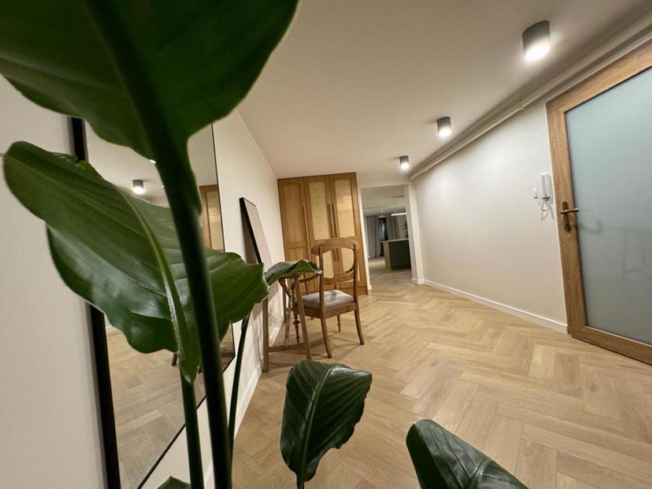 Apartament Ovoc 1.0 Chodzież Exterior foto